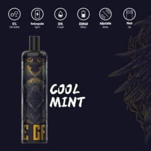 KKENERGYVAPE 5000 PUFFS