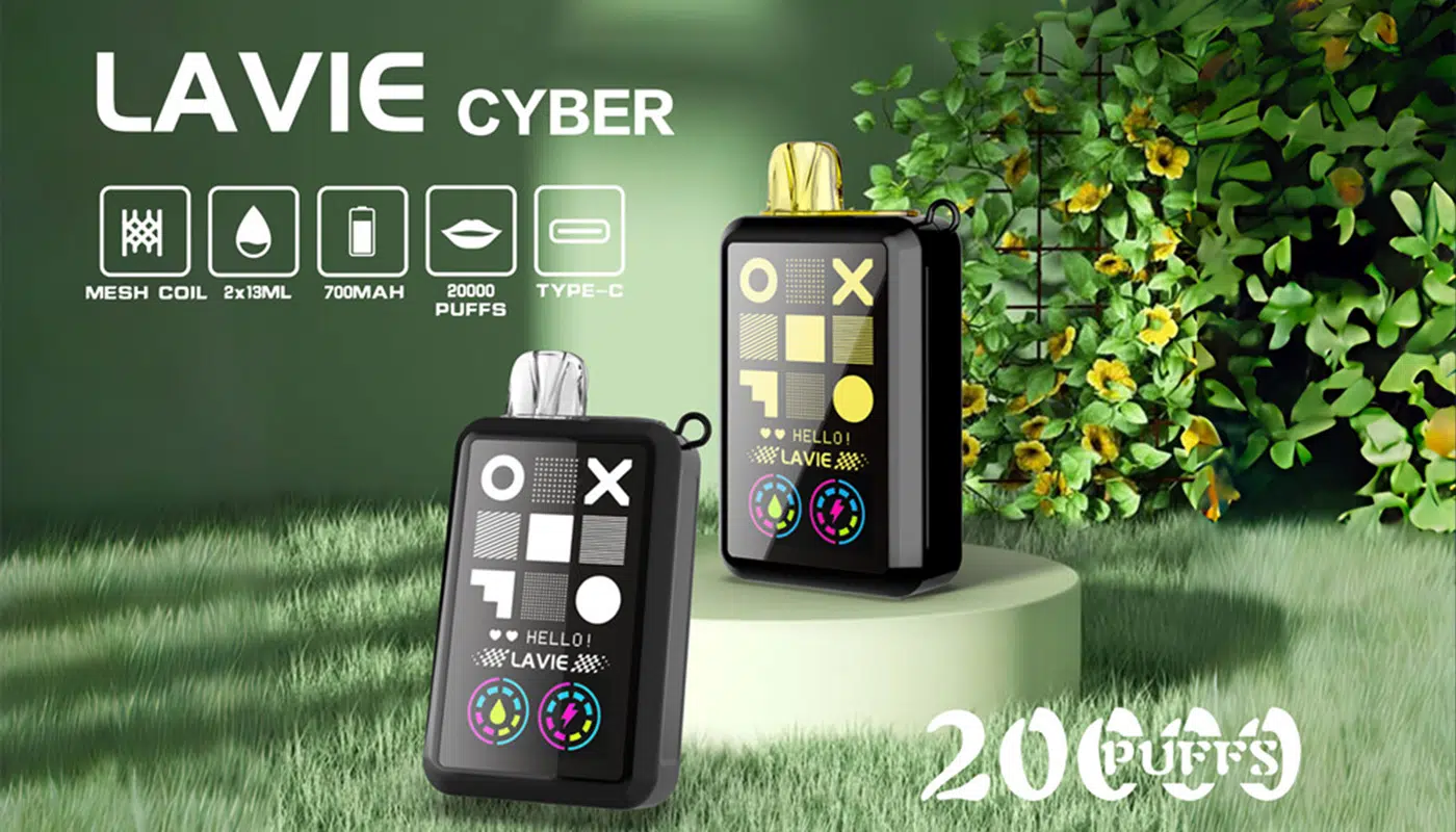 Lavie Cyber 20000คำ