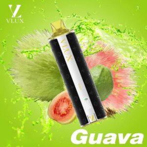 Vlux 12k 12000 คำ Guava